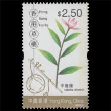 Hong Kong postage - Lobelia chinensis (Asian lobelia)
