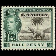 Gambia postage - Loxodonta africana (African bush elephant)