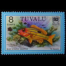Tuvalu postage - Lutjanus kasmira (Common bluestripe snapper)