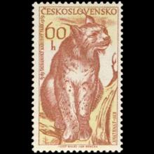 Czechoslovakia postage - Lynx lynx (Eurasian lynx)