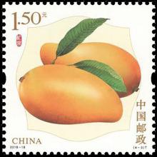 China postage - Mangifera indica (Mango)