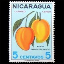 Nicaragua postage - Mangifera indica (Mango)