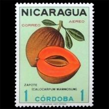 Nicaragua postage - Manilkara zapota (Sapodilla)