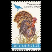 Mexico postage - Meleagris gallopavo (Wild turkey)