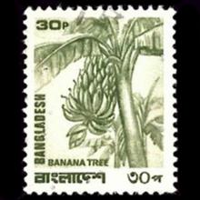 Bangladesh postage - Musa X paradisiaca (Banana)