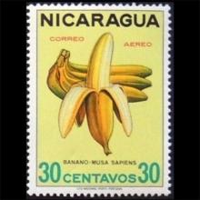Nicaragua postage - Musa X paradisiaca (Banana)
