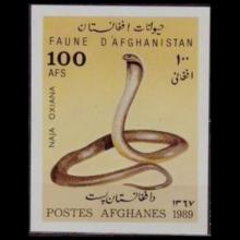 Afghanistan postage - Naja oxiana  (Caspian cobra)