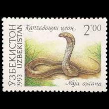 Uzbekistan postage - Naja oxiana (Caspian cobra)