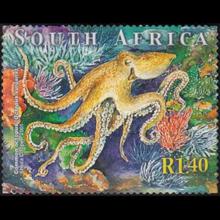 South Africa postage - Octopus vulgaris (Common octopus)