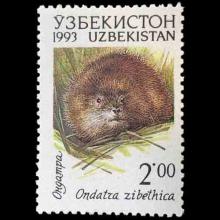 Uzbekistan postage - Ondatra zibethica (Muskrat)