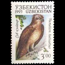 Uzbekistan postage - Pandion haliaetus (Osprey)
