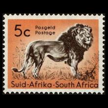 South Africa postage - Panthera leo (Lion)