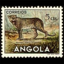 Angola postage - Panthera pardus (Leopard)