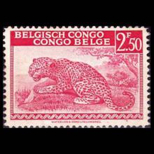 Belgian Congo postage - Panthera pardus (Leopard)