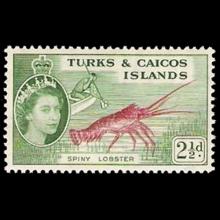 Turks and Caicos Islands - Panulirus argus (Caribbean spiny lobster)