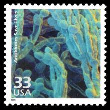 United States postage - Penicillium chrysogenum (Penicillin)