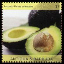 Antigua and Barbuda postage - Persea americana (Avocado)