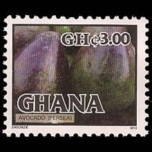 Ghana postage - Persea americana (Avocado)