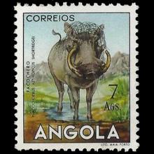 Angola postage - Phacochoerus aethiopicus (Desert warthog)