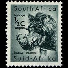 South Africa postage - Phacochoerus aethiopicus (Desert warthog)