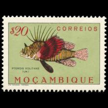 Mozambique postage - Pterois volitans (Lionfish)
