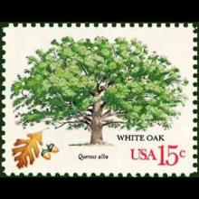 United States postage - Quercus alba (White oak)