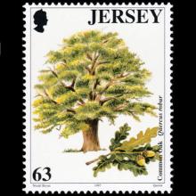 Jersey postage - Quercus robur (Common oak)