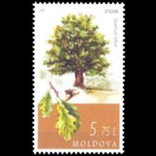 Moldova postage - Quercus robur (Common oak)