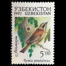 Uzbekistan postage - Remiz pendulinus (Eurasian penduline tit)