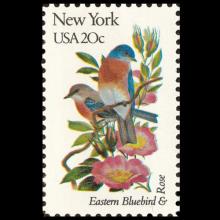 United states postage - Sialia sialis (Eastern bluebird)