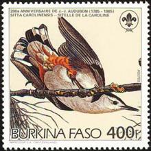 Burkina-Faso postage - Sitta carolinensis (White-breasted nuthatch)