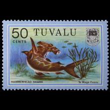 Tuvalu postage - Sphyrna mokarran (Hammerhead shark)
