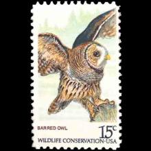 United States postage - Strix varia (Barred owl)