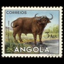 Angola postage - Syncerus caffer (African buffalo)