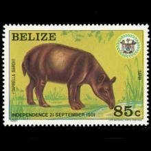 Belize postage - Tapirus bairdii (baird's tapir)