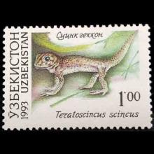 Uzbekistan postage - Teratoscincus scincus (Frog-eyed gecko)