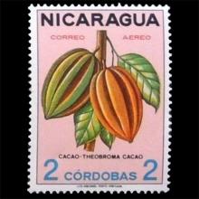 Nicaragua postage - Theobroma cacao (Cacao tree)