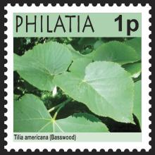Philatia postage - Tilia americana (American basswood)