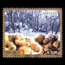 Italy postage - Tuber gibbosum (Oregon white truffle)