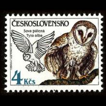 Czechoslovakia postage - Tyto alba (Barn owl)