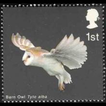 United Kingdom postage - Tyto alba (Barn owl)