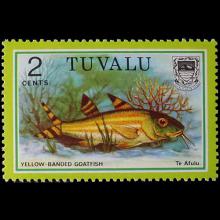 Tuvalu postage - Upeneus vittatus (Yellow-banded goatfish)