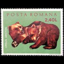 Romania postage - Ursus arctos (Grizzly bear)