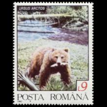 Romania postage - Ursus arctos (Grizzly bear)