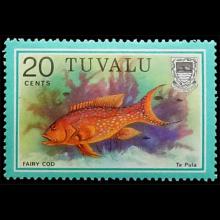 Tuvalu postage - Variola louti (Yellow-edged lyretail)