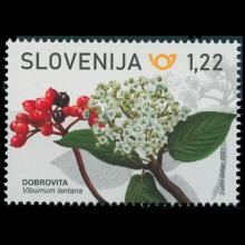 Slovenia postage - Viburnum lantana (Wayfaring tree)