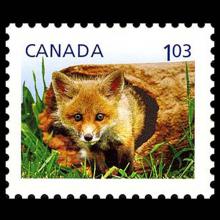 Canada postage - Vulpes vulpes (Red fox)