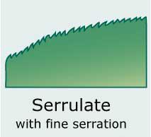 Serrulate (finely serrate)