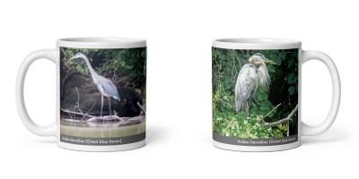 Ardea herodias (Great blue heron) mug