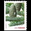 United States postage - Abies balsamea (Balsam Fir)